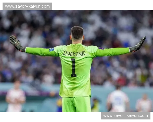 潘帕斯雄鹰的低语:2014世界杯,巴西与日本的未尽之约